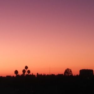 Meet your Posher, Cesar